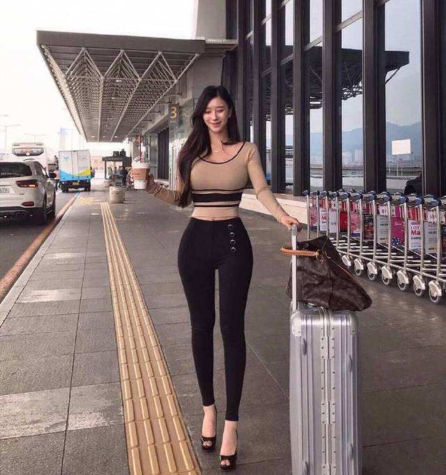 是猫咪就往上走最新版下载