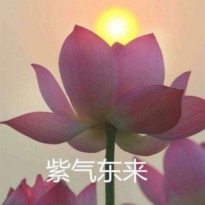 热血群侠华为版下载